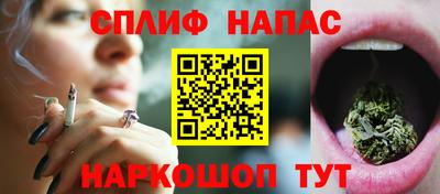 крисы Беслан