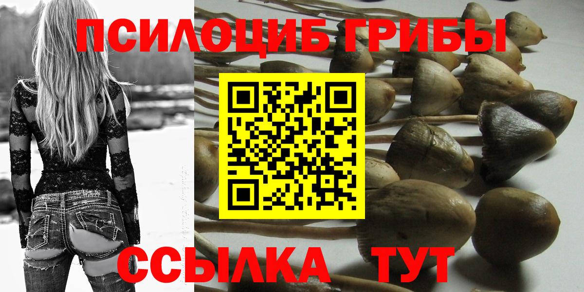 Галлюциногенные грибы Psilocybine cubensis Киров