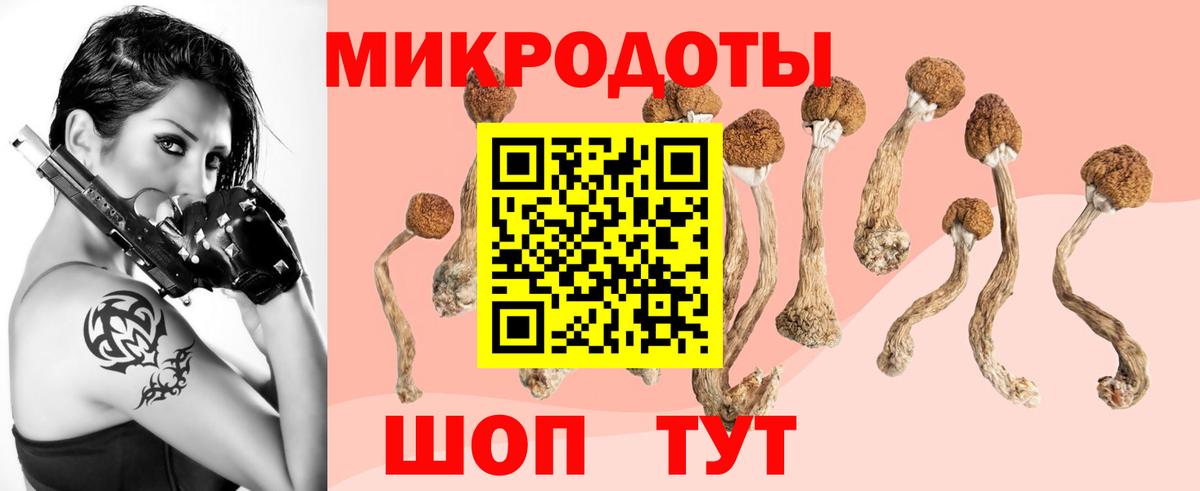 Псилоцибиновые грибы Magic Shrooms  Вход с VPN  Киров 